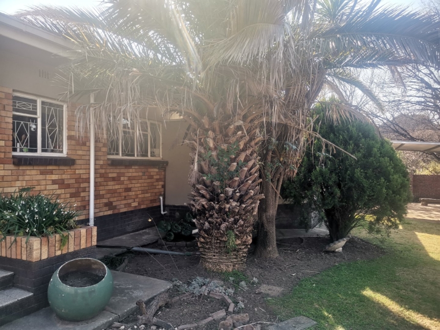 3 Bedroom Property for Sale in Senekal Free State